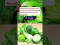 🥦🥬🥒🫑શિયાળામાં લીલા શાકભાજી ખાવાથી.... ythealth halthy shortsfeed health healthylifestyle yt