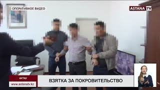 За взятку в 3 млн тенге арестован гендиректор \