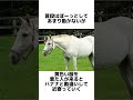 【お馬の雑学】ビワハヤヒデ