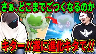 【ポケモン生】ニャオハ進化\u0026最終進化に最高の反応をする人外組【MSSP切り抜き】