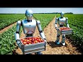 These Robots Harvest Millions Of Acres Of Farmland Every Day!