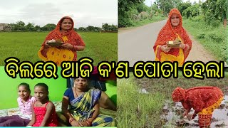 ବିଲରେ ଆଜି କ'ଣ ପୋତା ହେଲା | bilare aji kana pota hela | Puspalata Muduli |