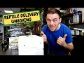 Reptile Delivery Day Unboxing, My Gecko Army (Snake Island Exotics)