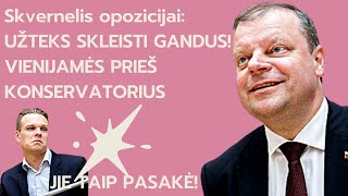 Skvernelis apie asmenines sąskaitas konservatoriams  | kompromitavimą užsakė medkirčiai?