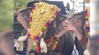 Unnimangadu Ganapathi mass entry by Sailesh Vaikom at Panayannarkavu Pooram 2023...