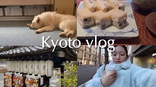 Kyoto Vlog 🌯| New burrito shop, Samoyed cafe \u0026 make a breakfast