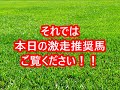 【競馬予想】 いわいちゃんねる 8月19日（土）