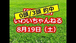 【競馬予想】 いわいちゃんねる 8月19日（土）