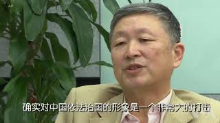 分析人士谈孟宏伟案件