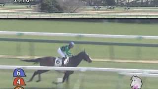 2010年3月20日 中山4R 障害未勝利 ビービーライナー