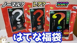 「？」の色がレア度を表してるに違いない！はてな福袋開けて比較してみた