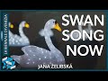 Czech Republic & Slovakia - Jana Želibská - Swan Song Now - Venice Biennale 2017