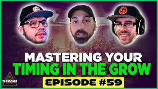 Mastering Timing When Growing Plants - From the Stash Podcast Ep. 59