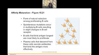 BIO 230 Chpt 15 Lecture 2 24