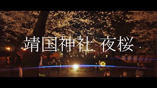 靖国神社 夜桜満開2023