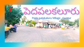 PEDA PALAKALURU Village | Guntur | Andhra Pradesh (పెద పలకలూరు , గుంటూరు , ఆంధ్రప్రదేశ్ )