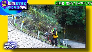 【３分案内】暗峠(大阪府)　関西おすすめスポット