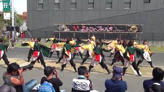 よさこいフェスタin新川市まつり2018 山口県立大学よさこい部奄美連合萩組 メイン会場