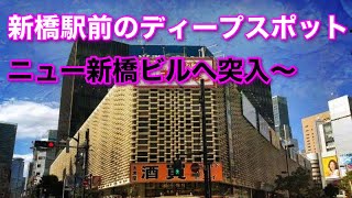 ❾東京編終・ニュー新橋ビルを探索‼️都心駅前にこんなカオスなビルが⁉️歴史にも触れた。東京編終り