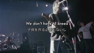 [和訳] Breed - Nirvana