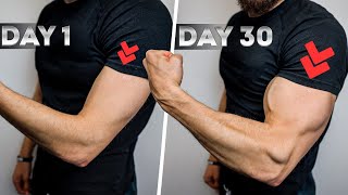 30 Days Bigger ARMS Challenge (Home Exercises)