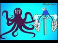 why does an octopus have blue blood