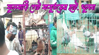 ৪০০টাকা জোরা কবুতর ফুলবাড়ি গেট পায়লা।গিরিবাজ পায়রা বিক্রয়।ফেন্সি জাতীয় কবুতর রক্ষায় কবুতর।#youtu