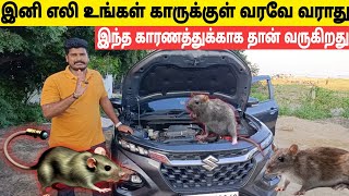 How to safe your car from rats | எலி காரில் வராமல் இருக்க? | Easy Steps