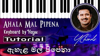 Ahala Mal Pipena (ඇහැළ මල් පිපෙනා) | Chandana Liyanarachchi | Keyboard Notes