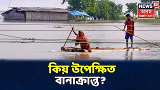 CITY 18 | ৰাজ্যৰ ২৬খন জিলাত বানৰ প্ৰলয়, কিবা ব্যৱস্থা লৈছেনে চৰকাৰে