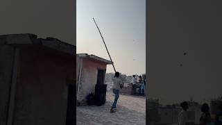 Kite looting video #kitelooting #kitelooters #viral #patang #kitevideo