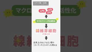 【よくわかる免疫ビタミンLPS（リポポリサッカライド）解説動画】 『 LPSとヒアルロン酸との関係について 』