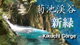 菊池渓谷の新緑 KIKUCHI GORGE