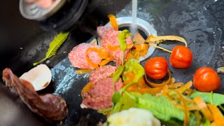 Satisfying Sink Garbage Disposal Crush - Food Scraps in Action!