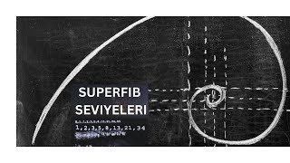 SUPERFIB SEVIYELERI