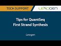 TECHNICAL SUPPORT: Tips for QuantSeq First Strand Synthesis