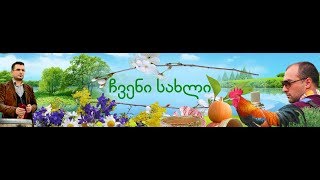 პომიდვრის ჯიშები