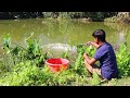 Fishing Video || Fish can be easily caught from the village pond in a short time || Catching fish