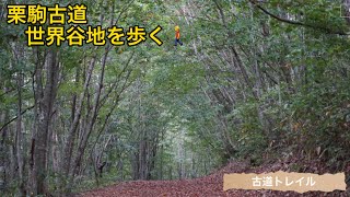 【登山】まるでここはジブリの世界〜世界谷地を歩く〜