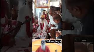 #Sultan Goga kanij/Mahi dham kanij/kanubapa#shortsfeed #shortsvideo #viral #reels