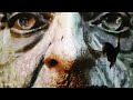 Werner Puntigam's PIPES & VIBES - a tribute to Anton Bruckner / 'Interlude 01' ft. Inés Pérez-Wilke