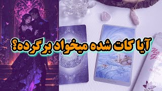 فال تاروت بهار - آیا کات شده میخواد برگرده؟🔮