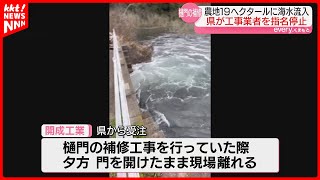 樋門工事中のミスで農地に海水流入 工事を受注した業者を熊本県が指名停止処分