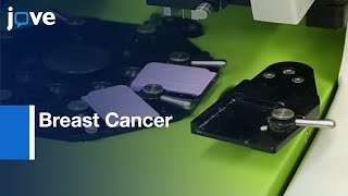 Breast Cancer related Gene Amplification with HT Screening Platform | Protocol Preview