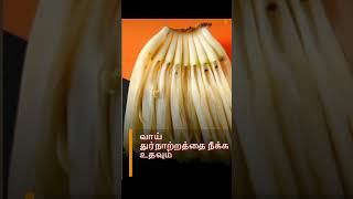 வாரம் இருமுறை வாழைப்பூ சாப்பிட்டால் இவ்வளவு நன்மைகளா?