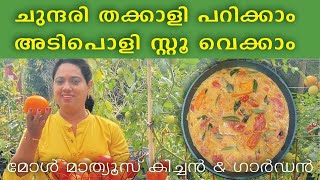 തക്കാളി സ്റ്റൂ 🥣 / Let’s pick some tomatoes 🍅 and make delicious Tomato  Stew /15 minute curry