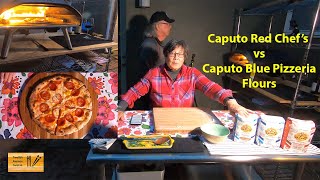 Caputo Blue Pizzeria vs Caputo Red Chef's Flour