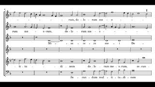 Palestrina: Tribularer si nescirem - Magnificat