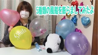 【風船企画】5種類の風船を膨らましてみたよ！