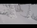 sledcore snowbiking in newfoundland